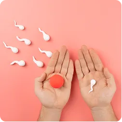 Fertility panel diagnostic test illustration for reproductive health analysis