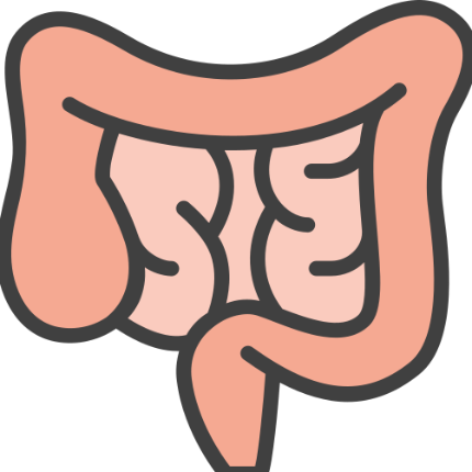 Gastroenterology digestive system specialist doctor