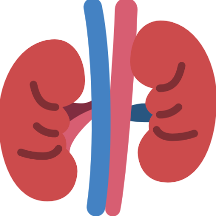 Urology specialist for urinary tract and kidney care